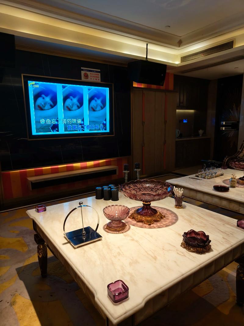 大兴安岭商务ktv推荐-呼玛县ktv预订